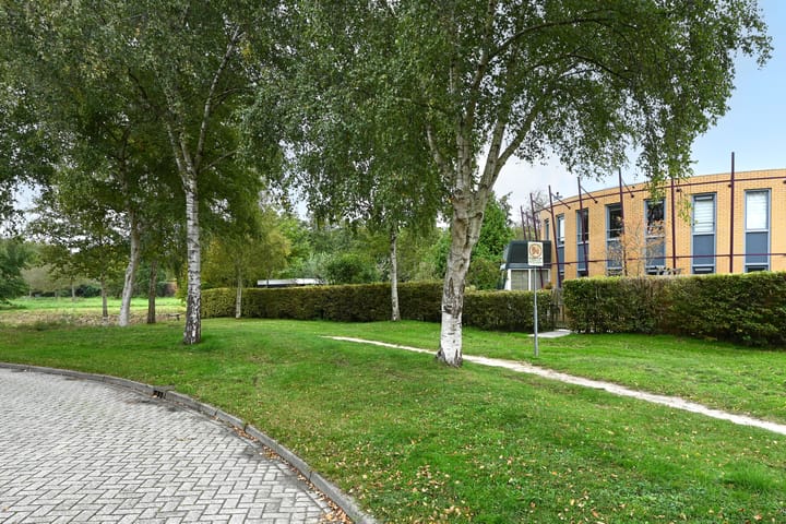 Photo 3 of Cees Buddingh'hof 165