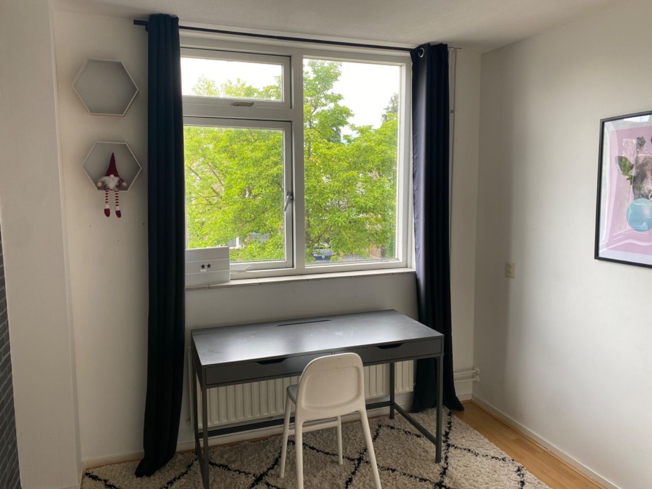 Photo 24 of A.B. van Lieshoutlaan 93