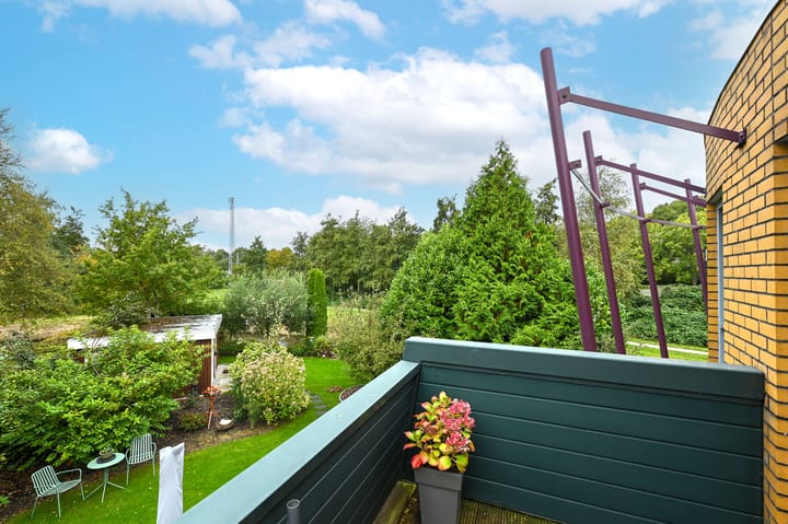 Photo 11 of Cees Buddingh'hof 165