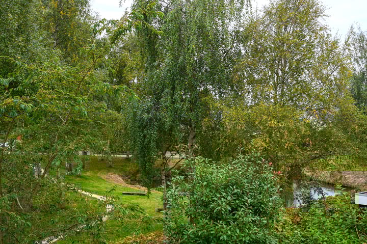 Photo 18 of Cees Buddingh'hof 165