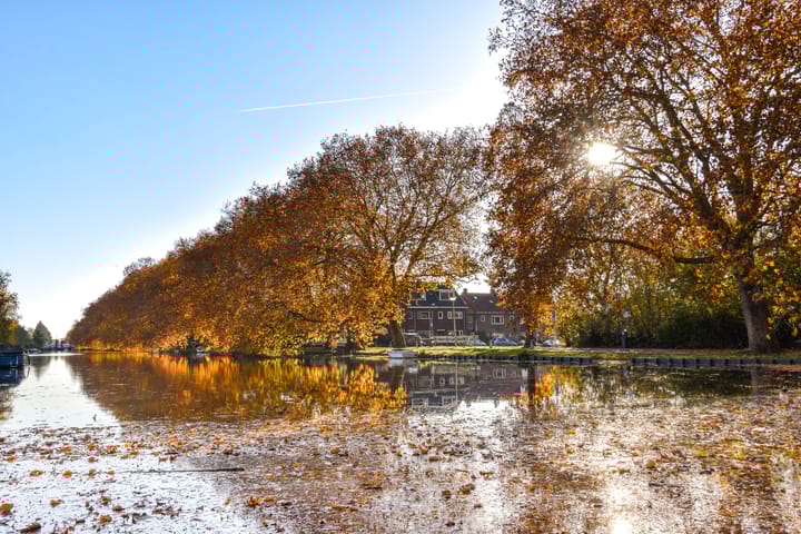 Photo 23 of Johan de Wittlaan 7