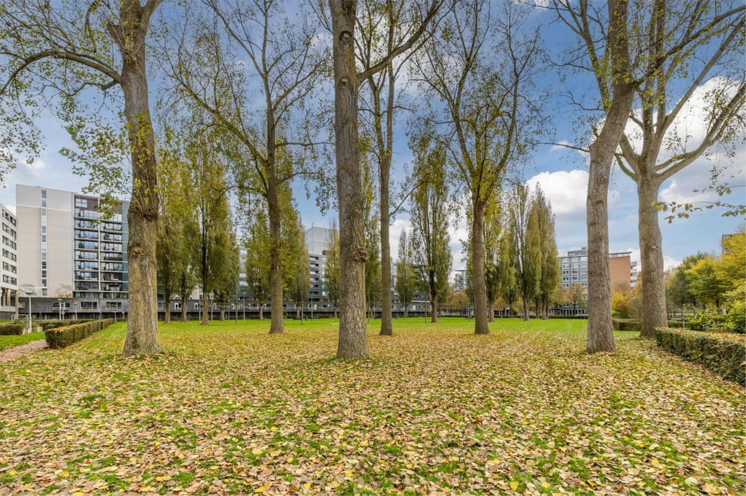 Foto 37 van Wittgensteinlaan 307