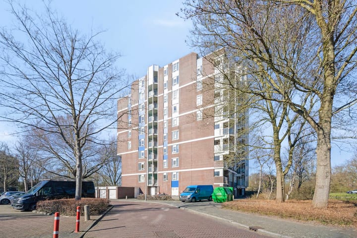 Photo 18 of Logger 56