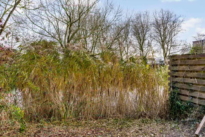 Foto 14 van Meeuwstraat 78