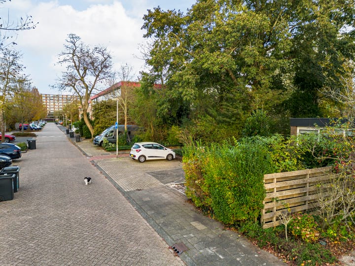 Foto 16 van Meeuwstraat 78