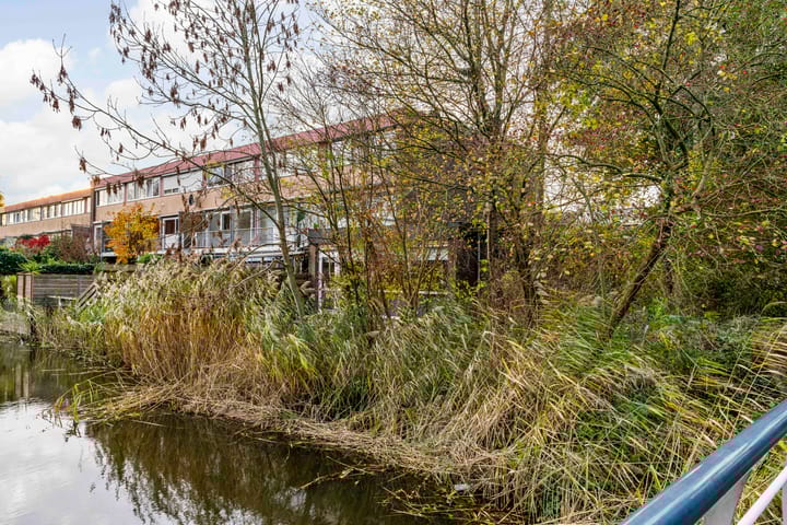 Foto 18 van Meeuwstraat 78