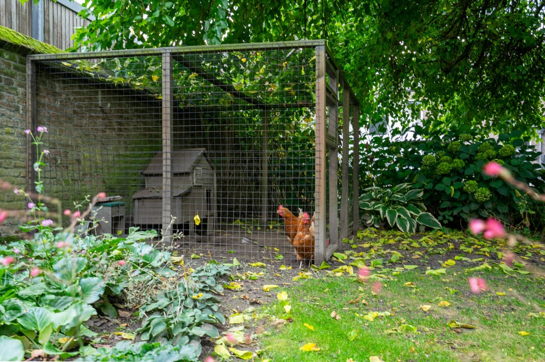 Foto 91 van Dorpsstraat 1