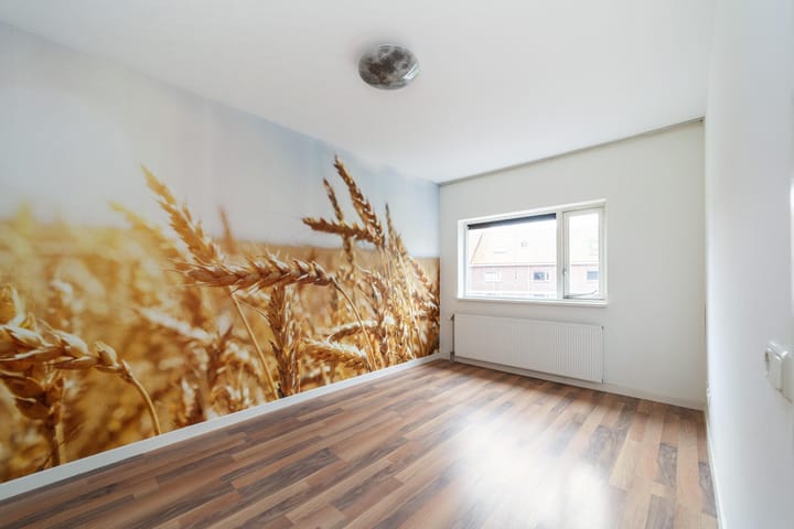 Photo 7 of Vriesschestraat 22