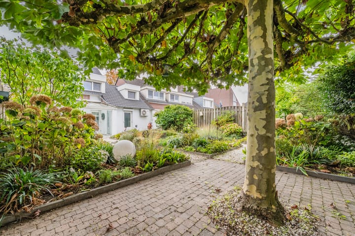 Photo 30 of Kijkakkers 11