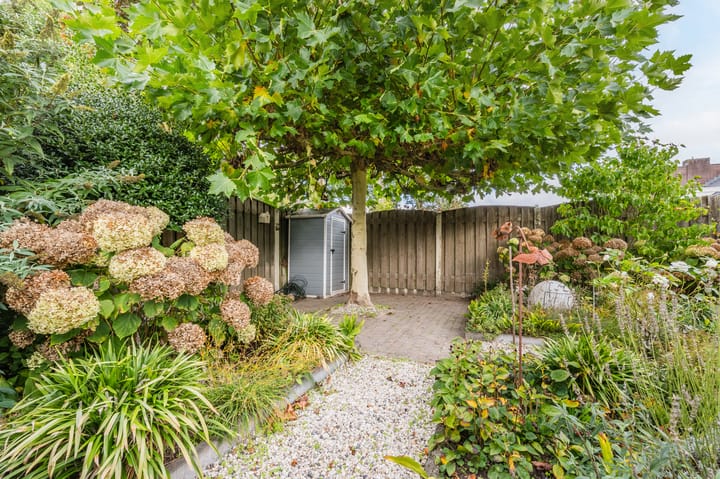 Photo 31 of Kijkakkers 11