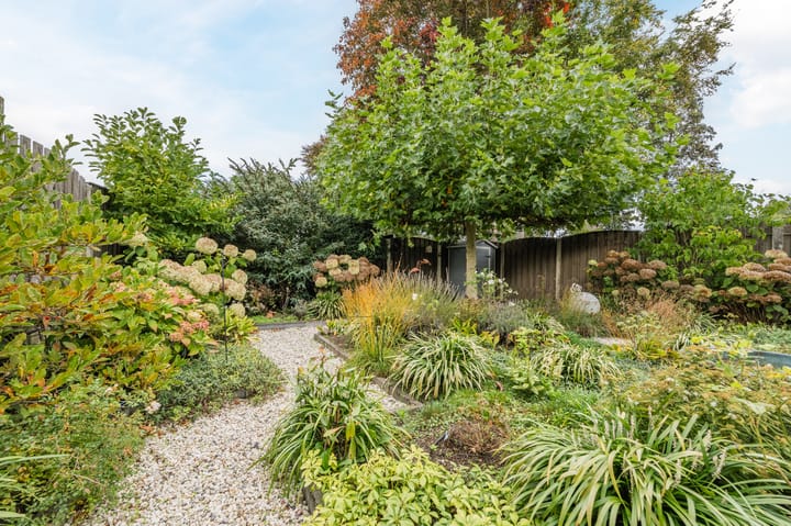 Photo 32 of Kijkakkers 11