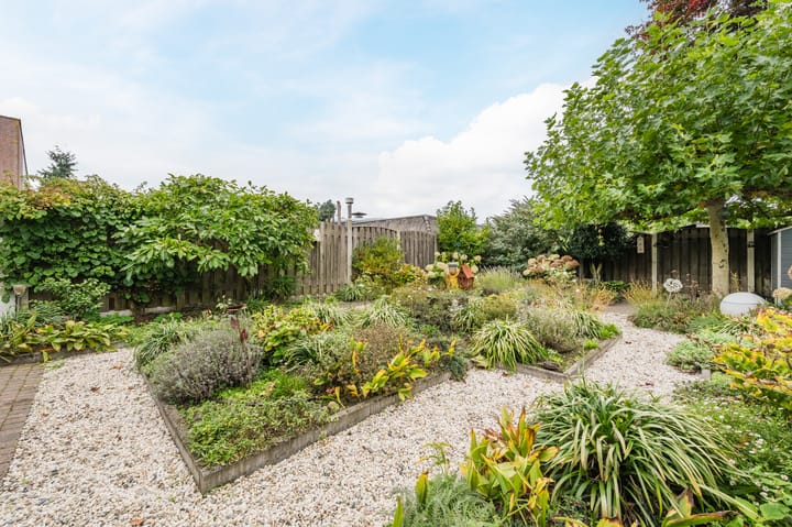 Photo 33 of Kijkakkers 11