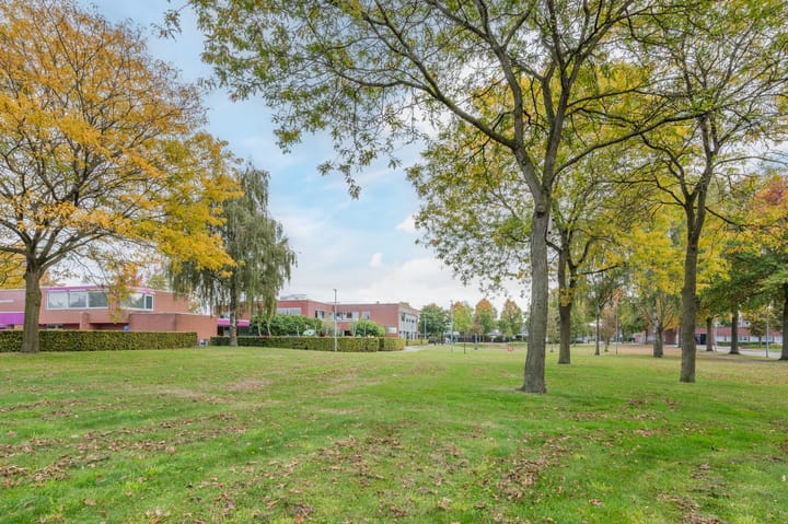 Photo 36 of Kijkakkers 11