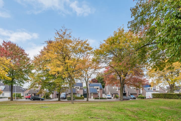 Photo 37 of Kijkakkers 11