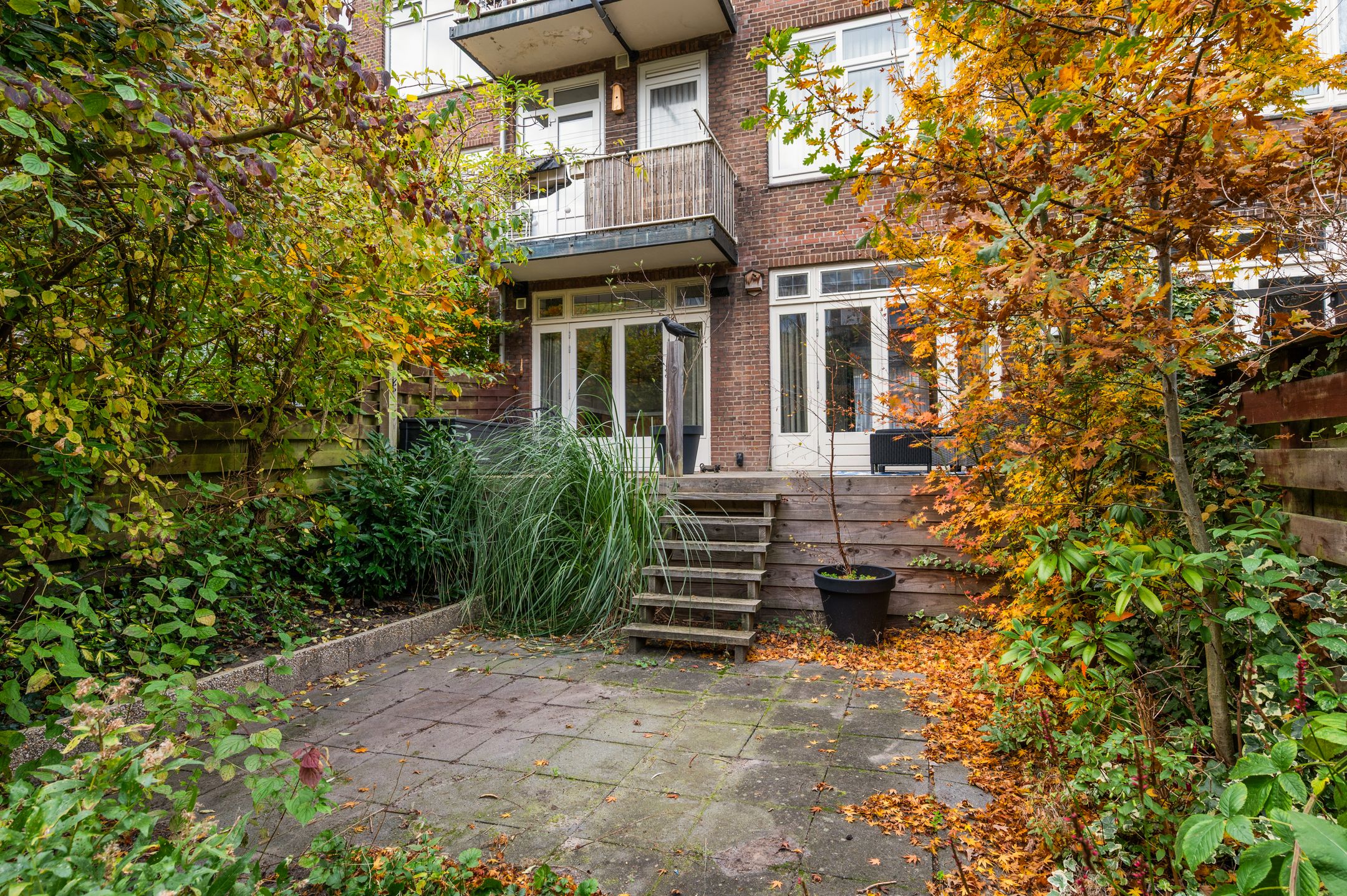 Photo 18 of Cleyburchstraat 50-A