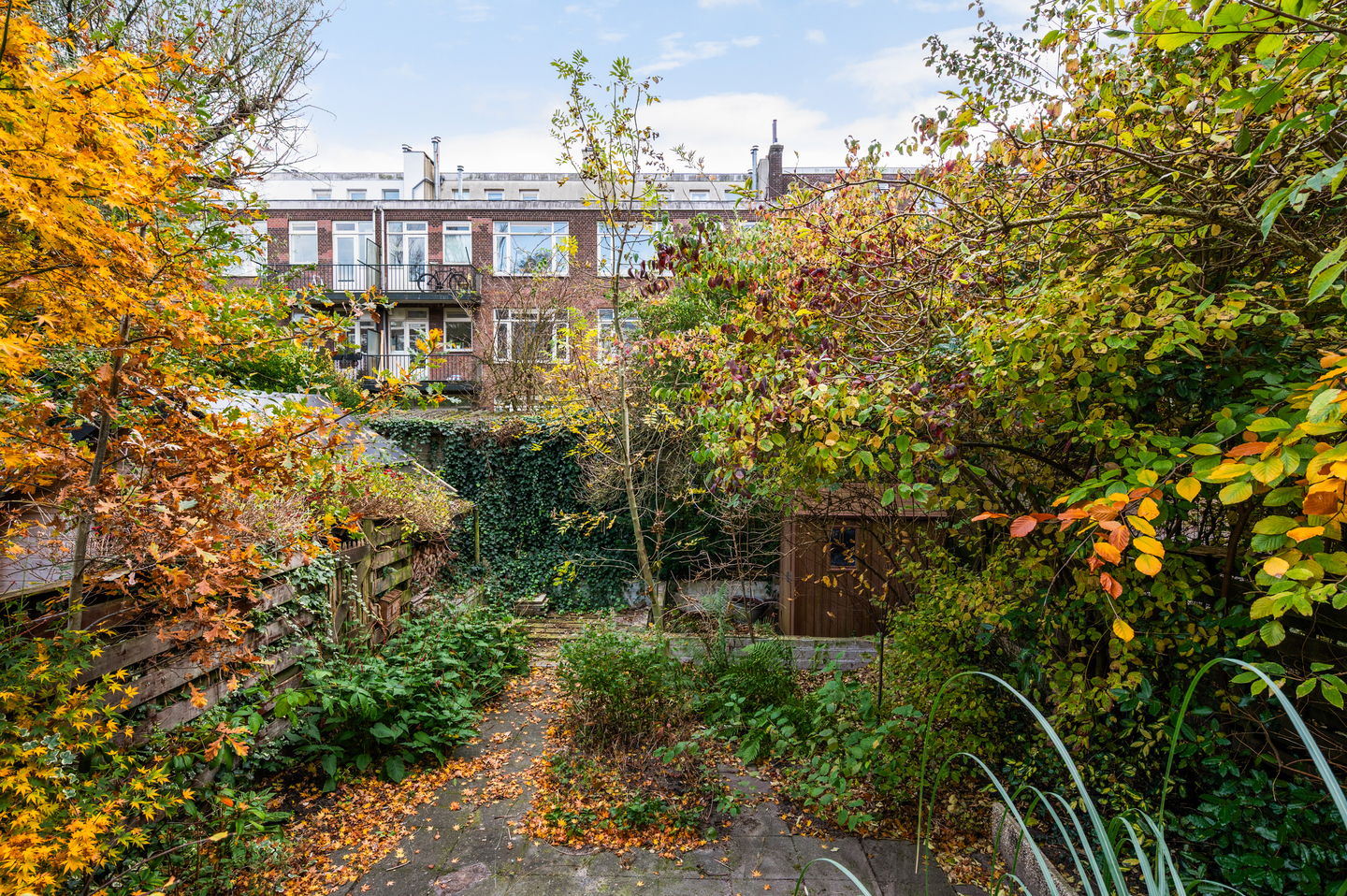 Photo 20 of Cleyburchstraat 50-A