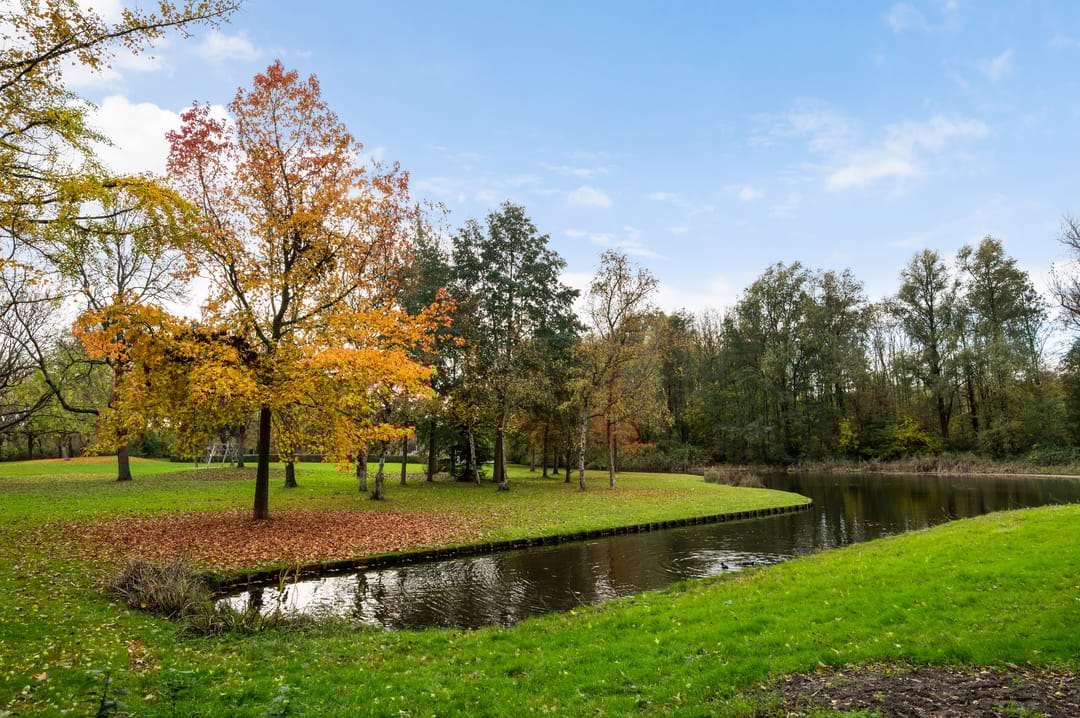 Photo 38 of Cleyburchstraat 50-A