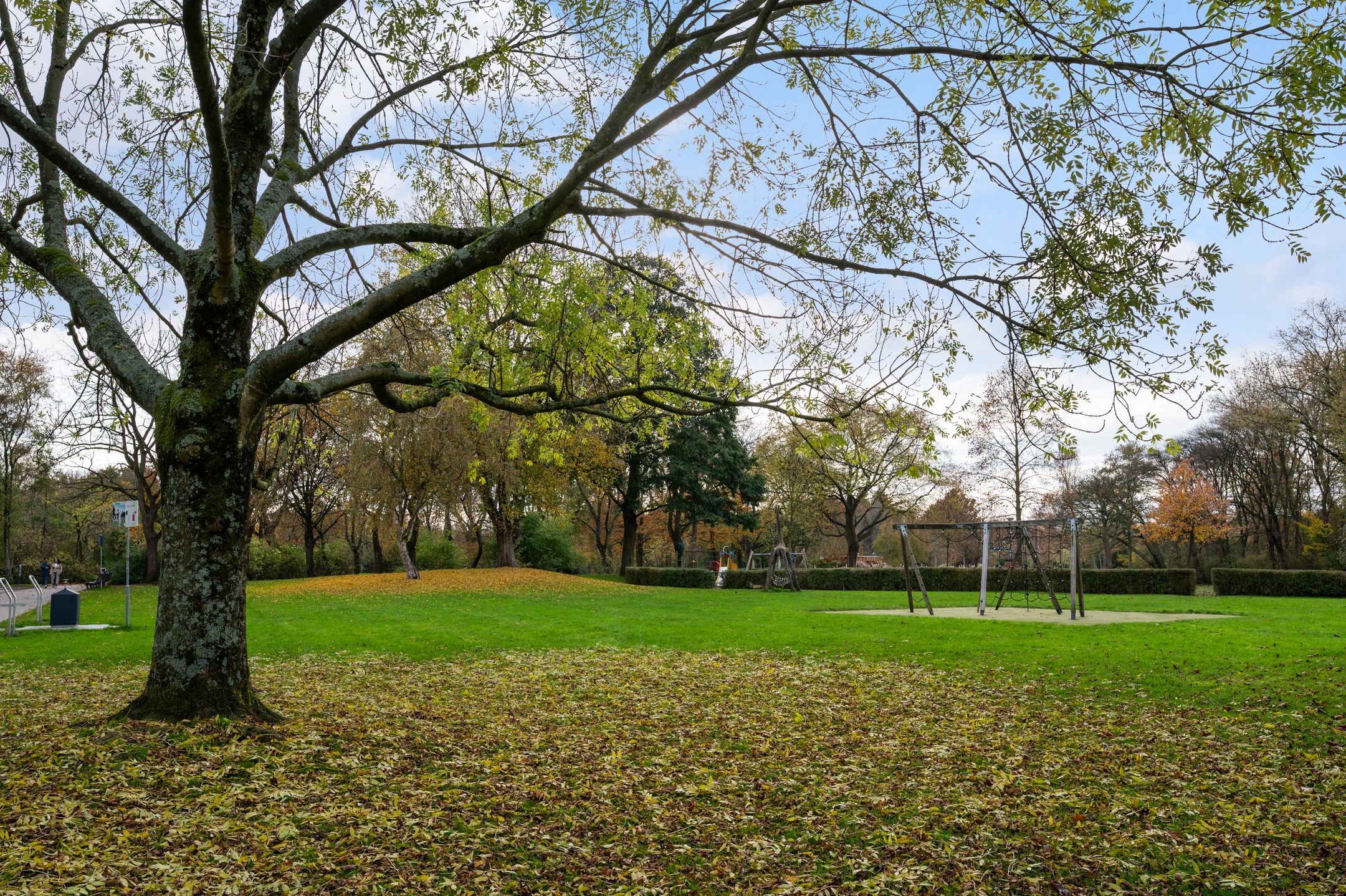 Photo 39 of Cleyburchstraat 50-A