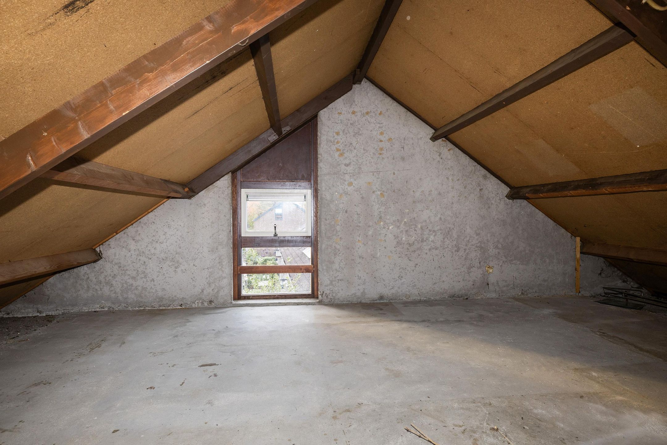 Photo 12 of Salland 124