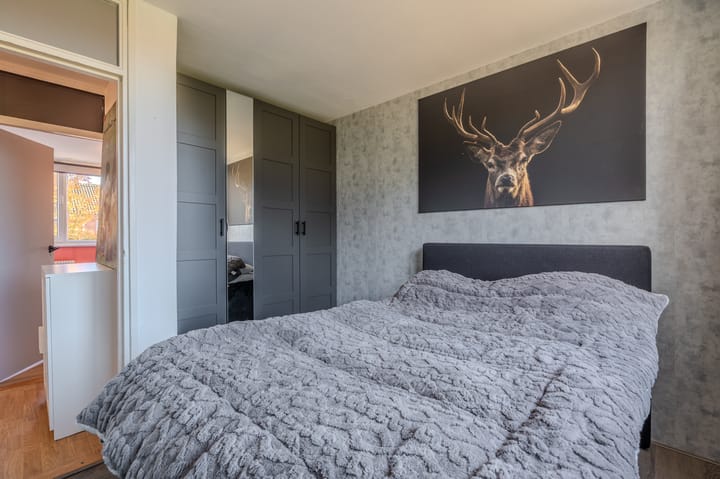 Photo 40 of Nolensstraat 71