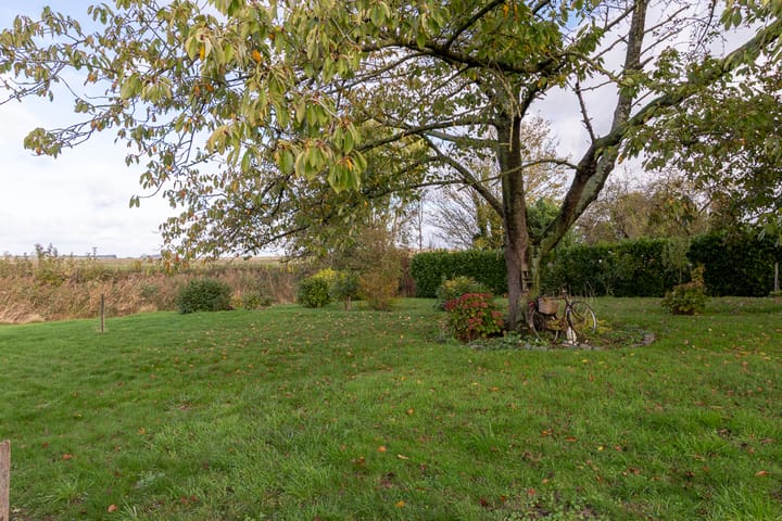 Photo 23 of Vogelfort 3