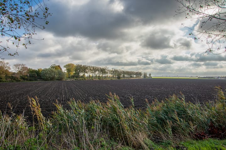 Photo 25 of Vogelfort 3