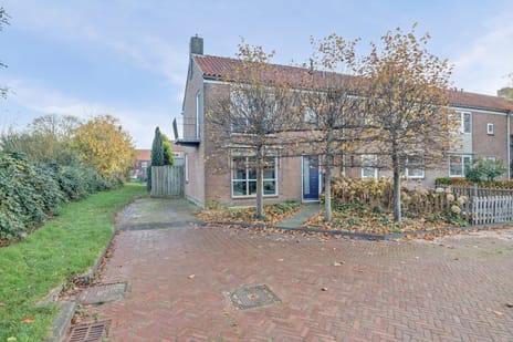 undefined main image