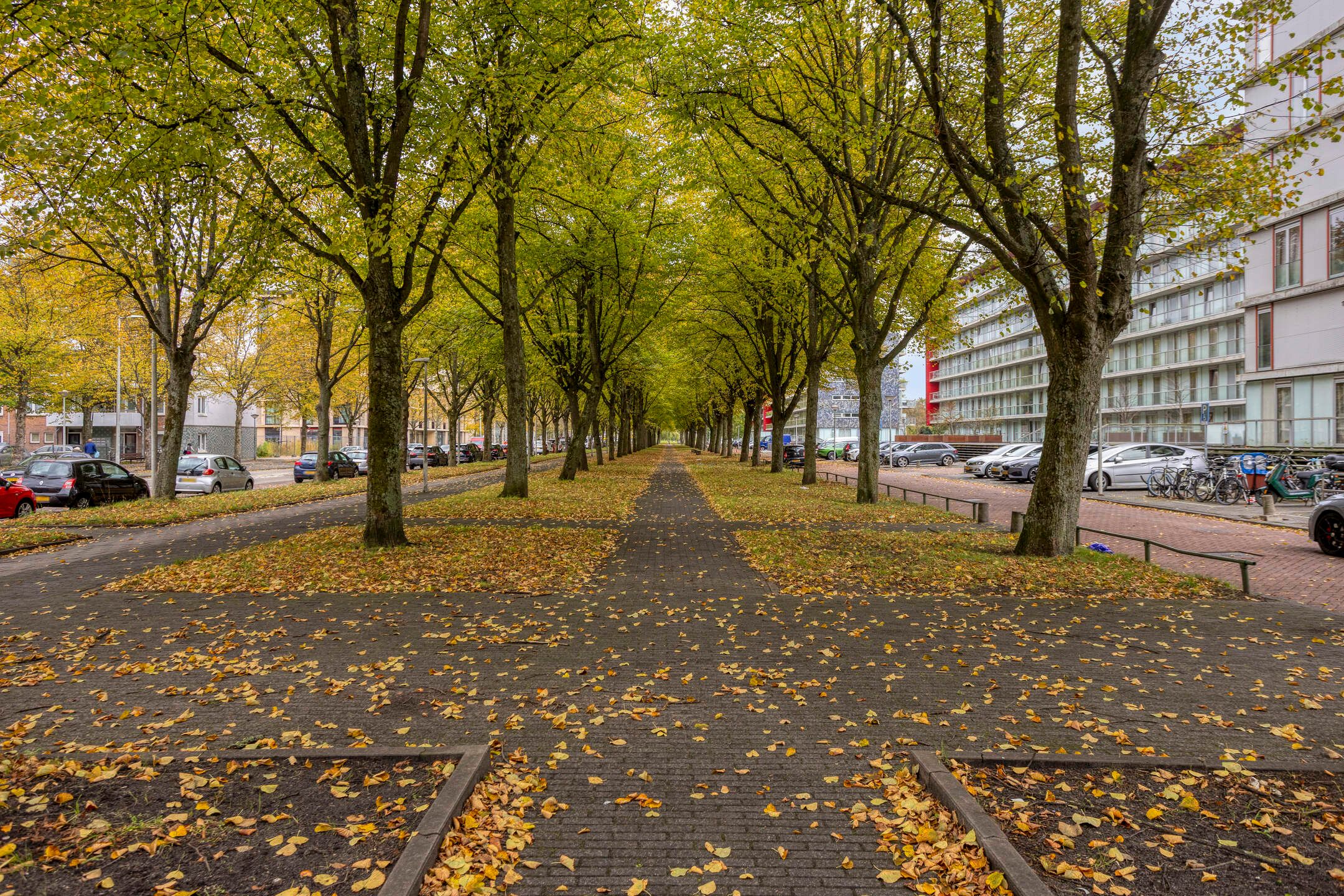 Foto 39 van Osdorper Ban 1059