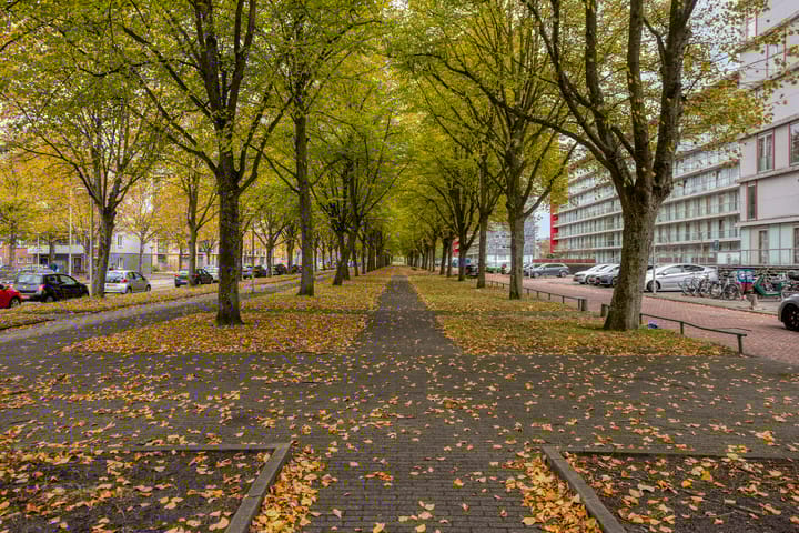 Photo 39 of Osdorper Ban 1059