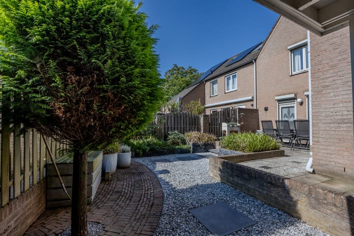 Photo 40 of Bosrank 5