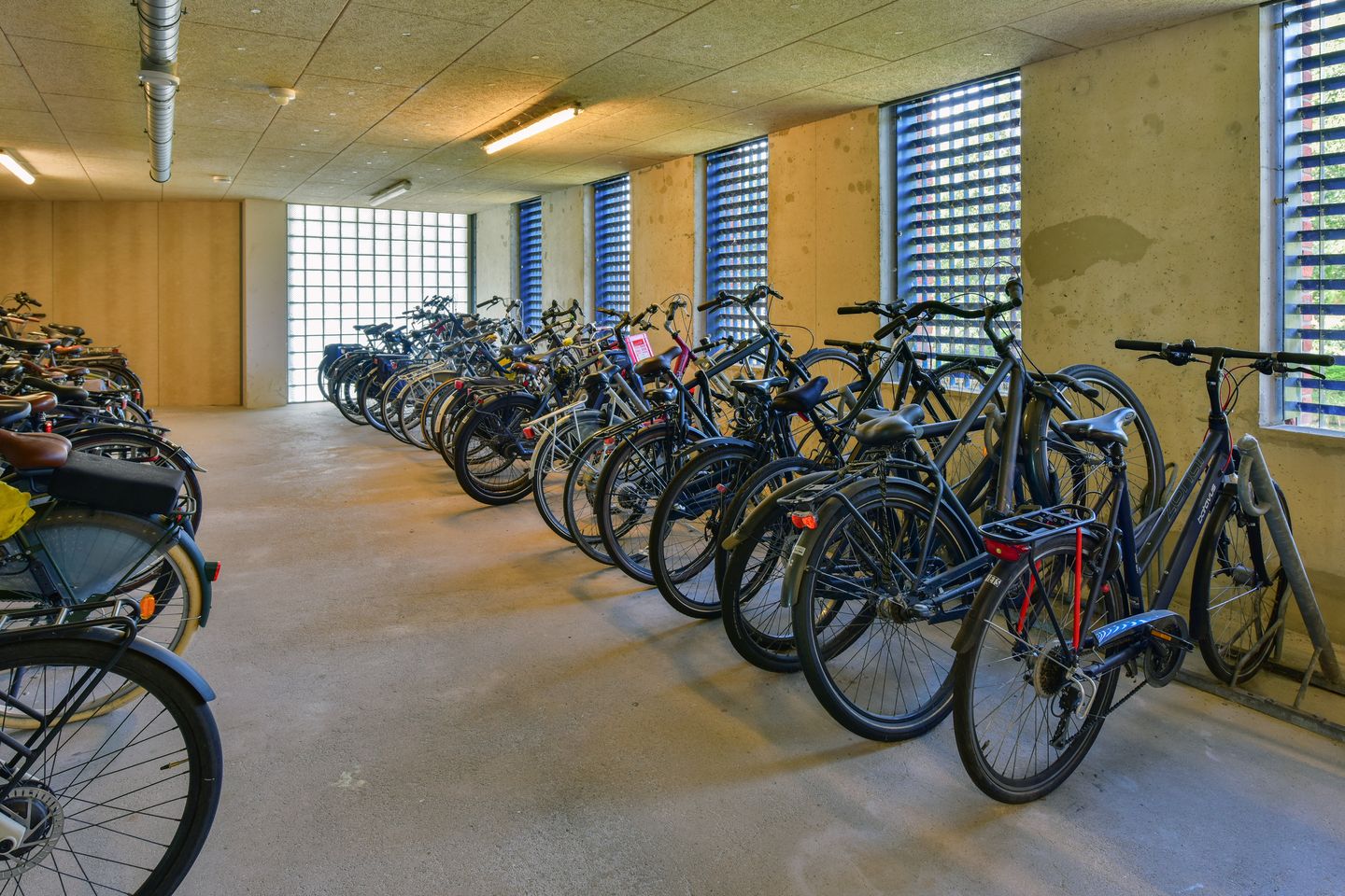 Foto 20 van Sint Janskruidlaan 342