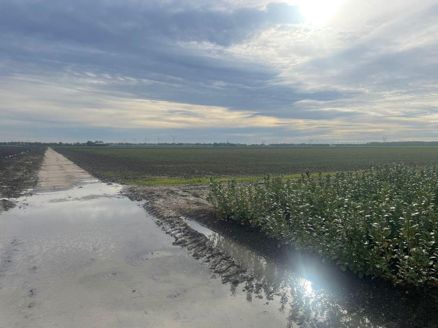 View photo 2 of Zeebiesweg