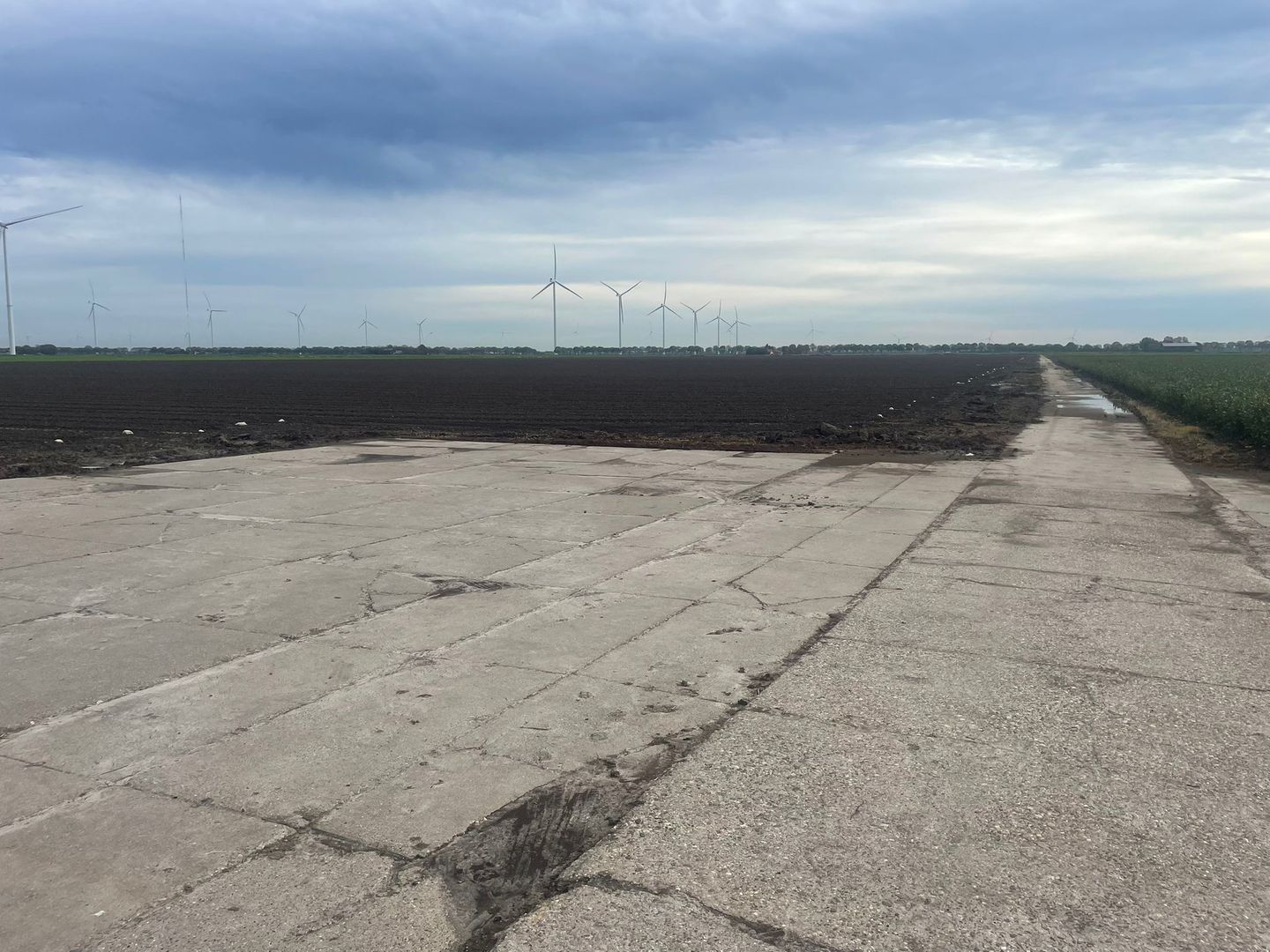 View photo 3 of Zeebiesweg