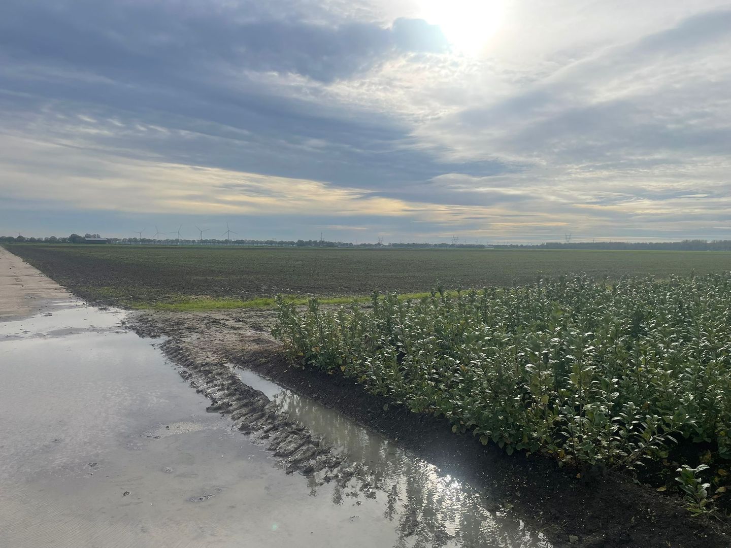 View photo 4 of Zeebiesweg