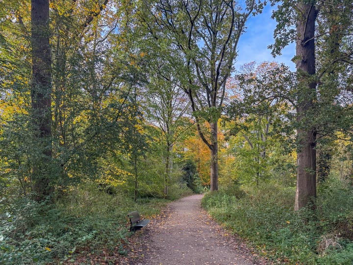 Foto 37 van Nieuwpoortslaan 130