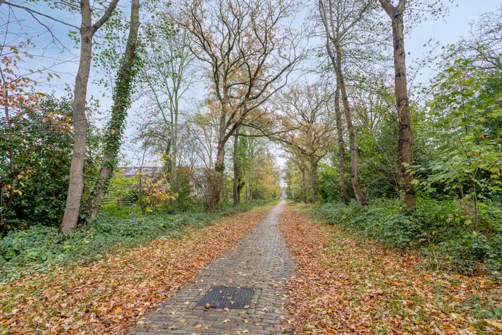 Foto 53 van Rezzago 11