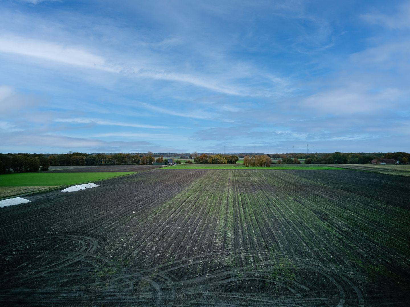 Foto 64 van Eichenstraße 10