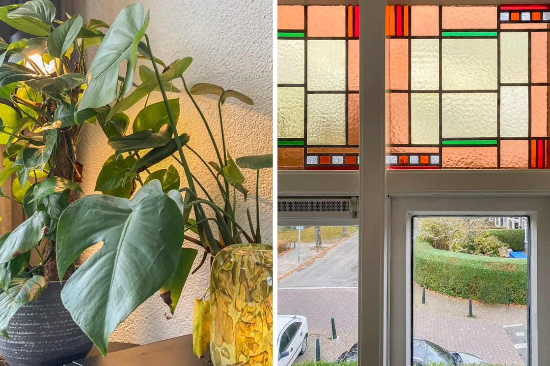 Foto 8 van Standhasenstraat 51