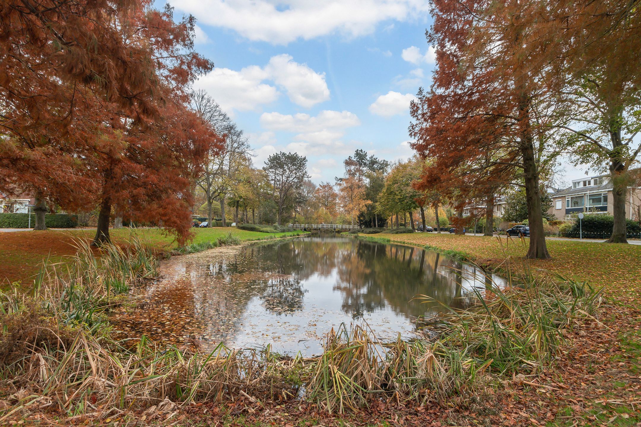 Foto 21 van Standhasenstraat 51