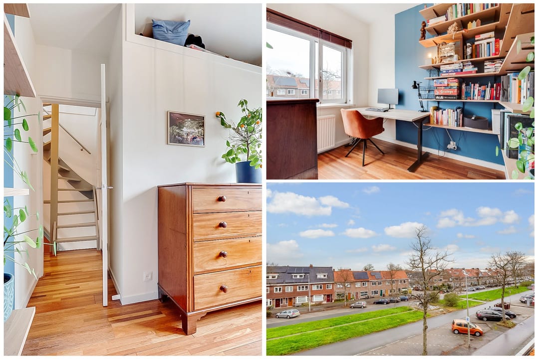 Foto 31 van Rijnlaan 205