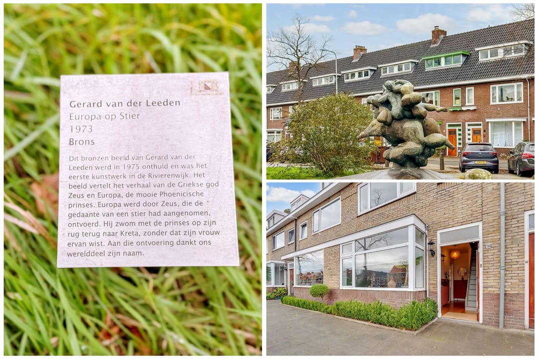 Foto 37 van Rijnlaan 205