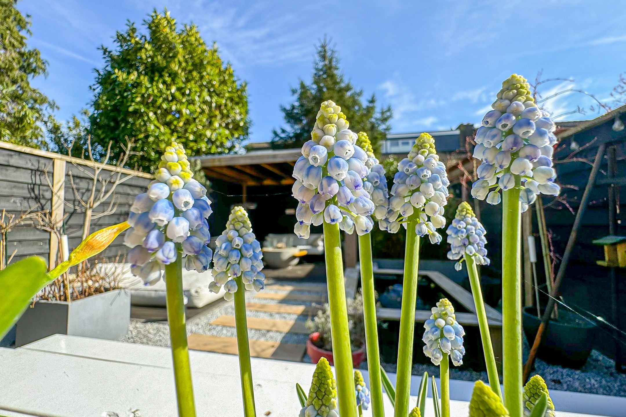 Photo 45 of Varenmeent 15