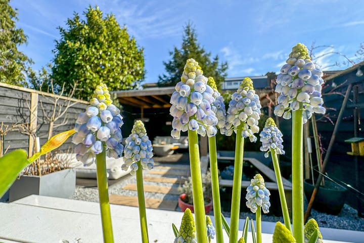 Foto 45 van Varenmeent 15