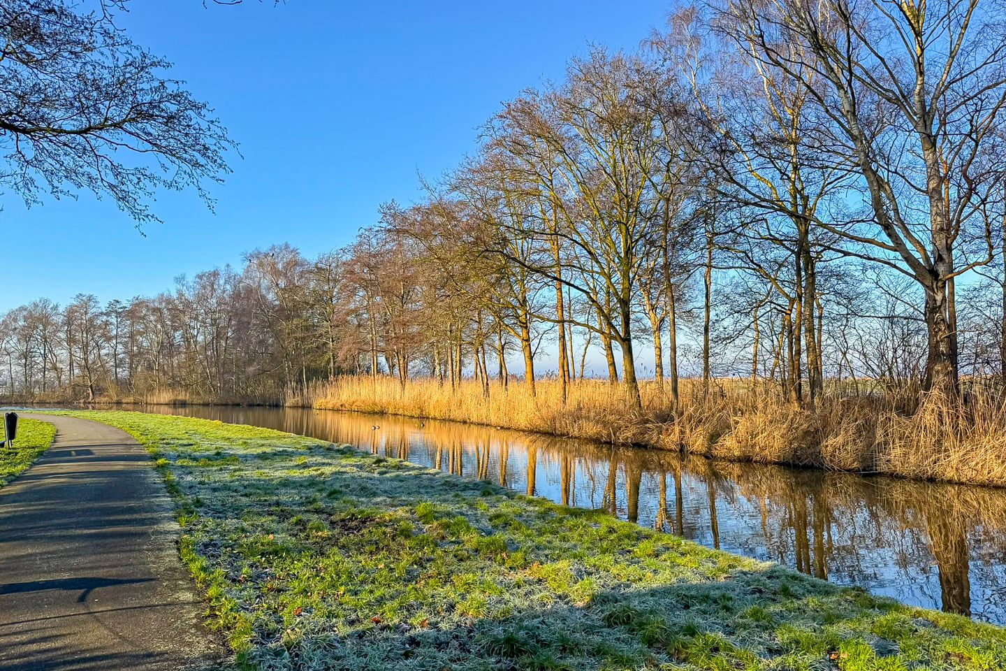 Photo 50 of Varenmeent 15