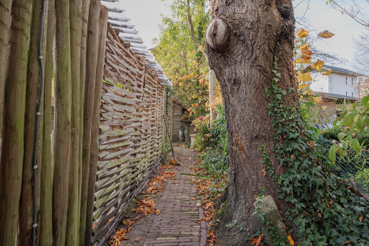 Foto 49 van Keizersdijk 83