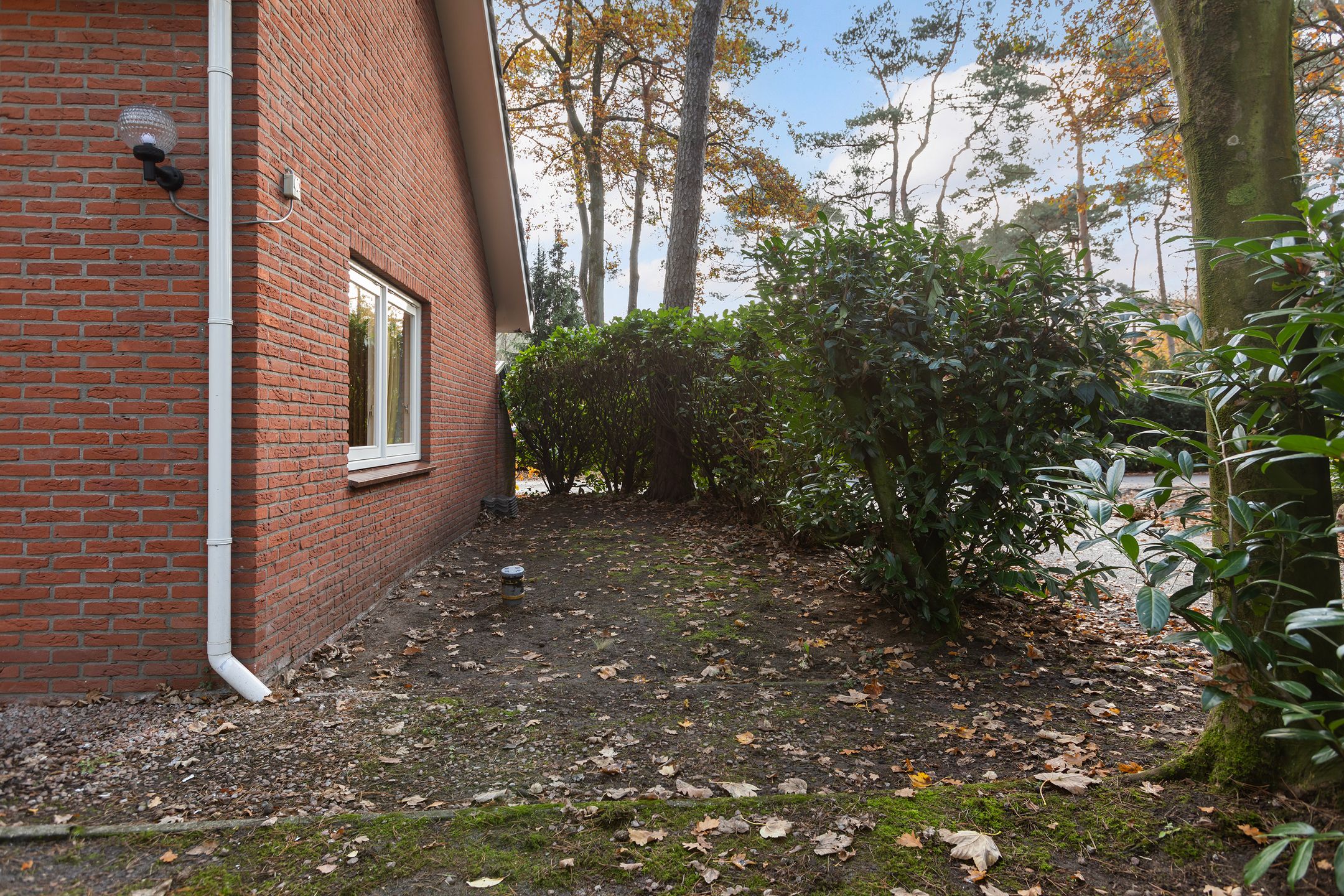 Foto 39 van Lage Bergweg 31-L1