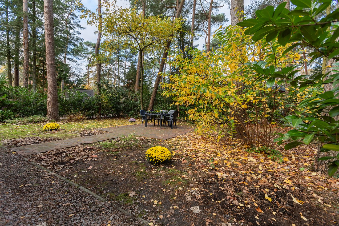 Foto 40 van Lage Bergweg 31-L1