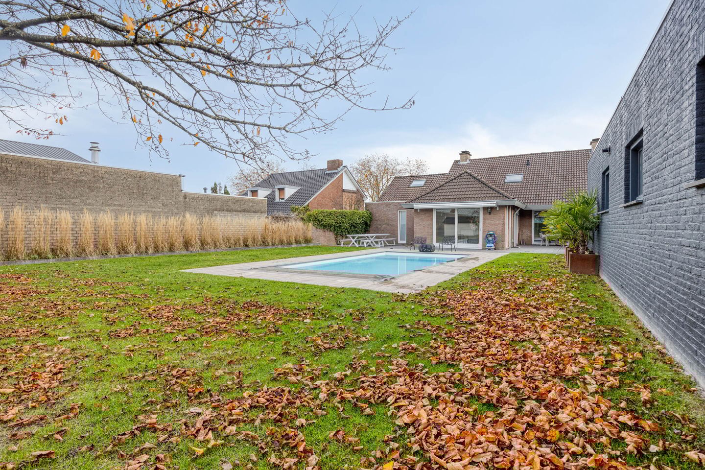 Foto 55 van Haefland 22