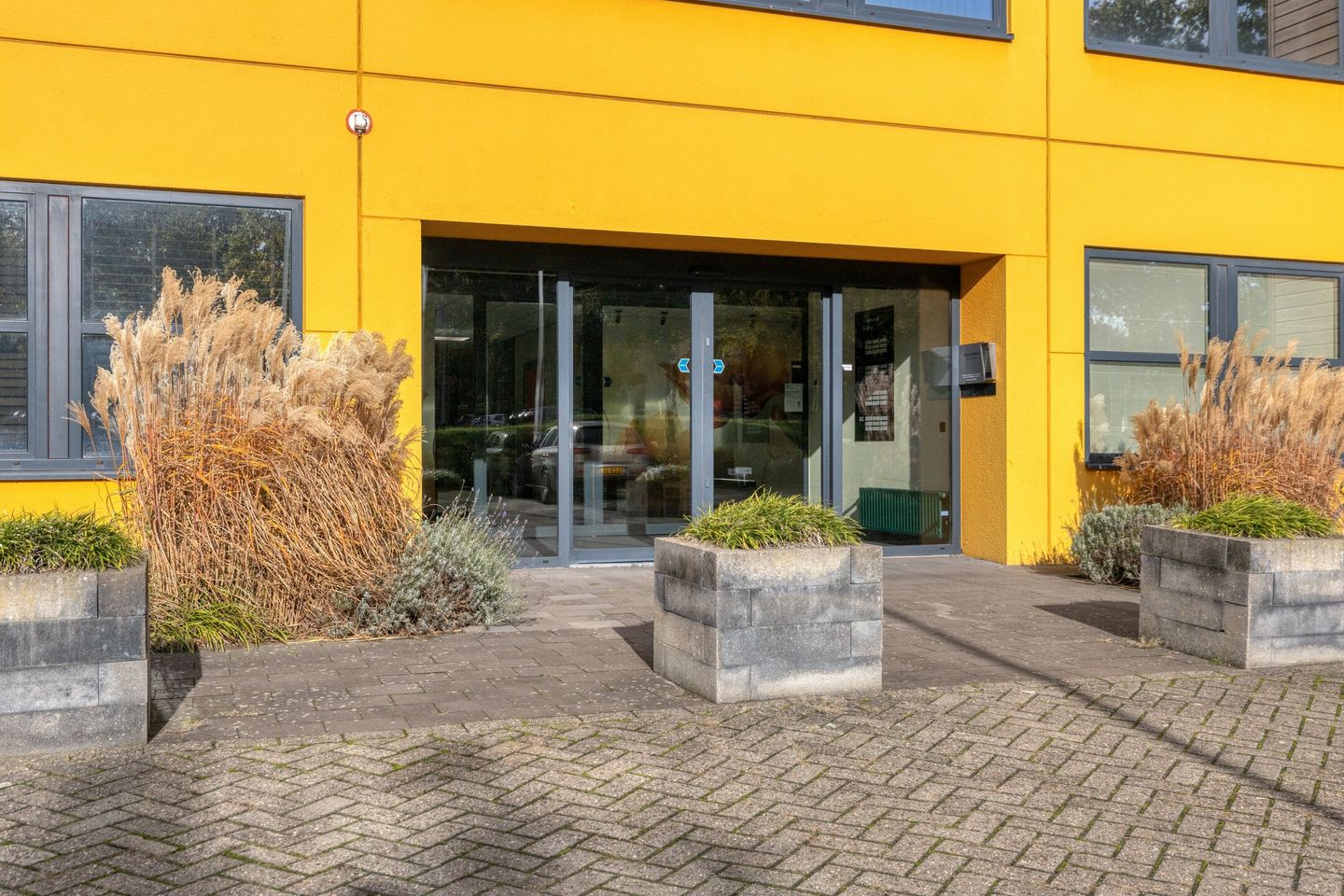 Bekijk foto 2 van Takkebijsters 57-A