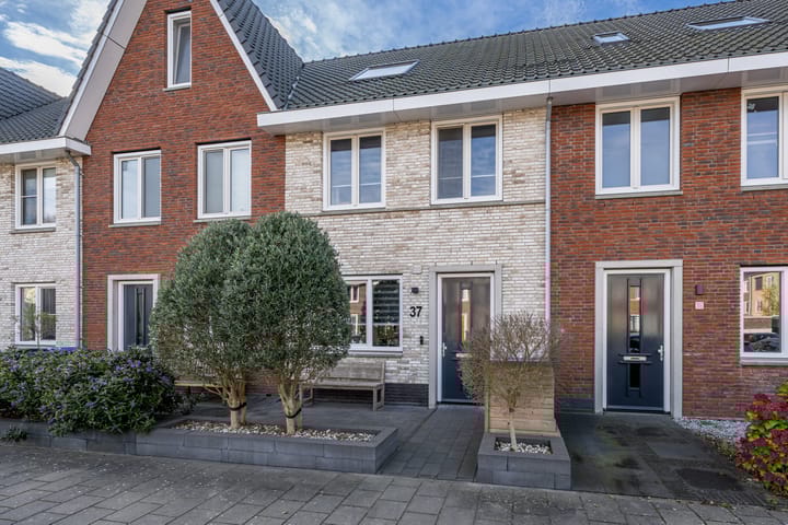 Spoorbaan 37 main image